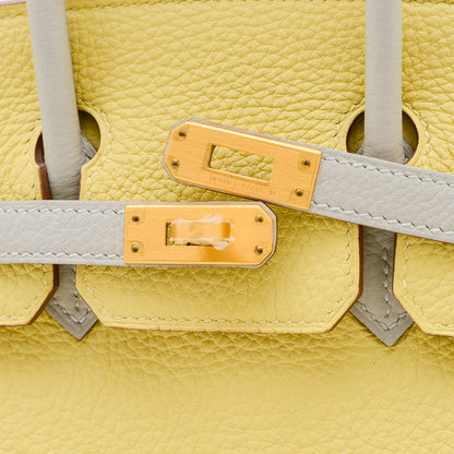 バーキン25 パーソナル トゴ ジョーヌプッサン/グリペール B刻印 ハンドバッグ