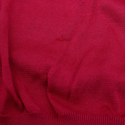 Vネックニット ロゴ シルク レッド レディース 36サイズ ニット