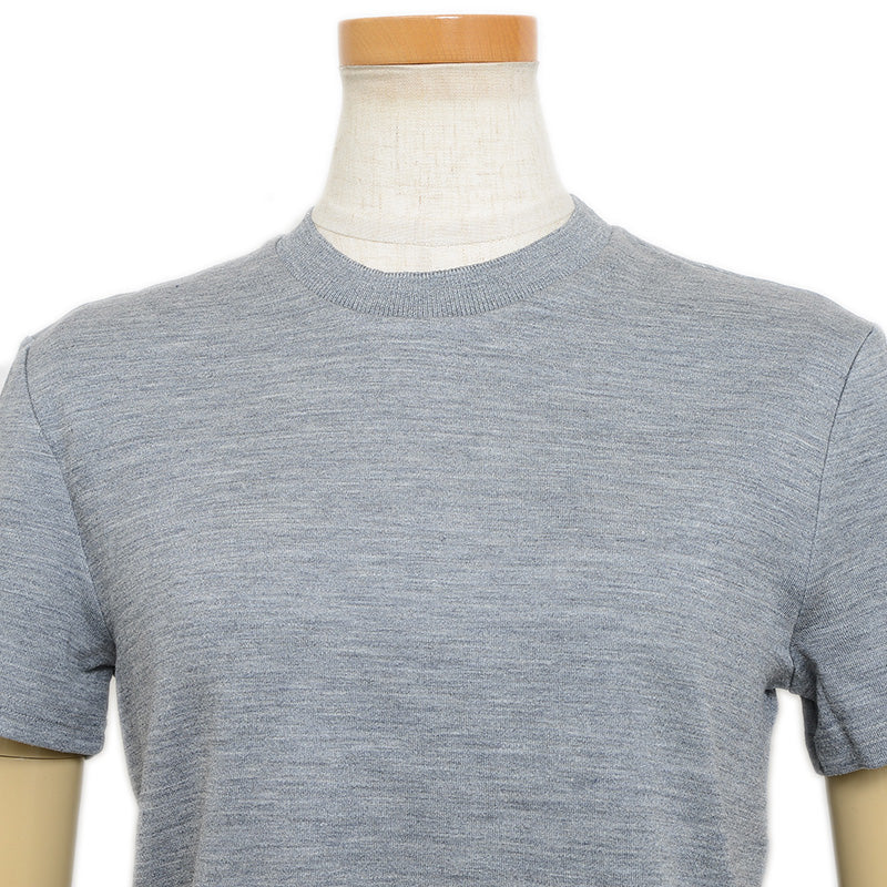 半袖Tシャツ シルク混 グレー レディース #38 FJS116A 半袖Ｔシャツ